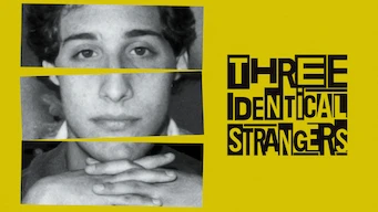 Three Identical Strangers