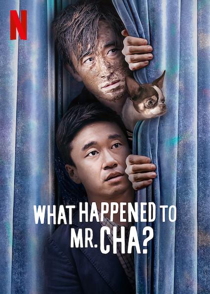 What Happened to Mr Cha?