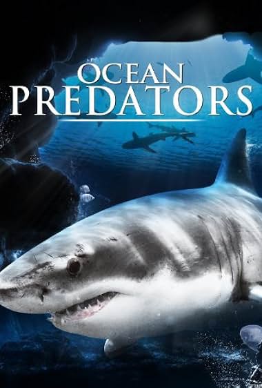 Ocean Predators