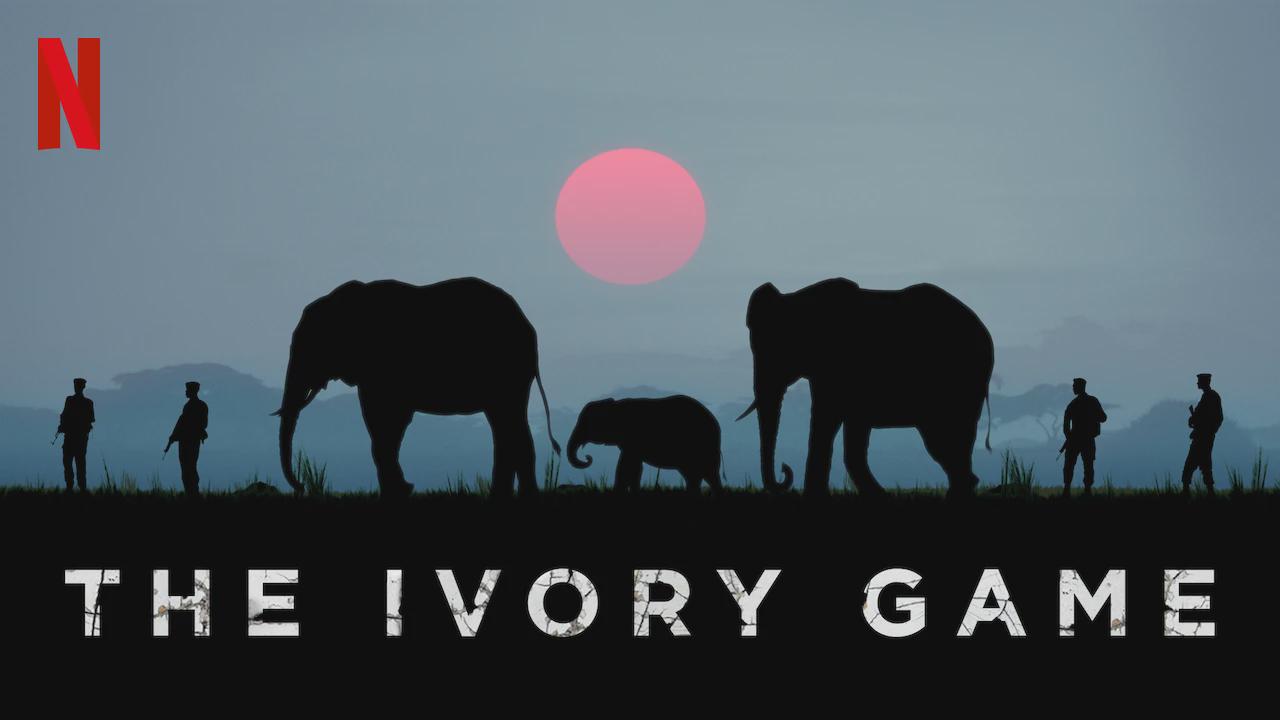 The Ivory Game